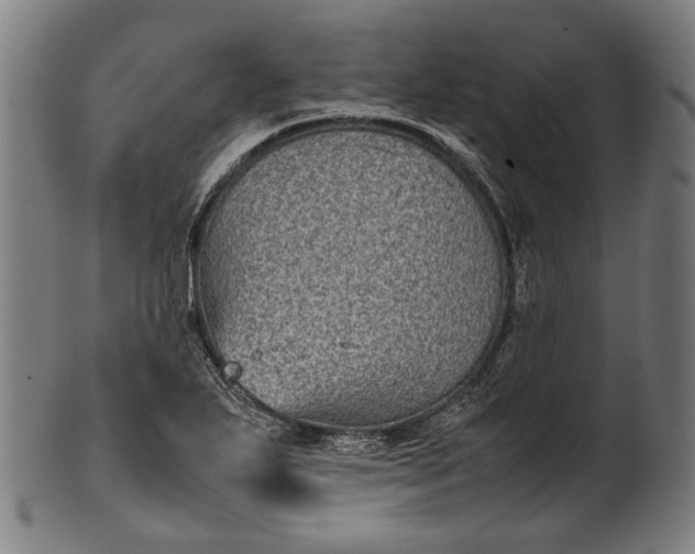 X0000101221271200807111048