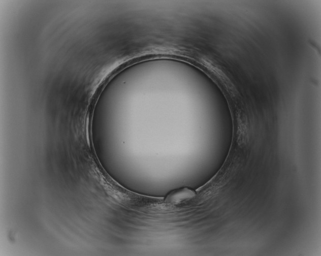 X0000101221272200807111048