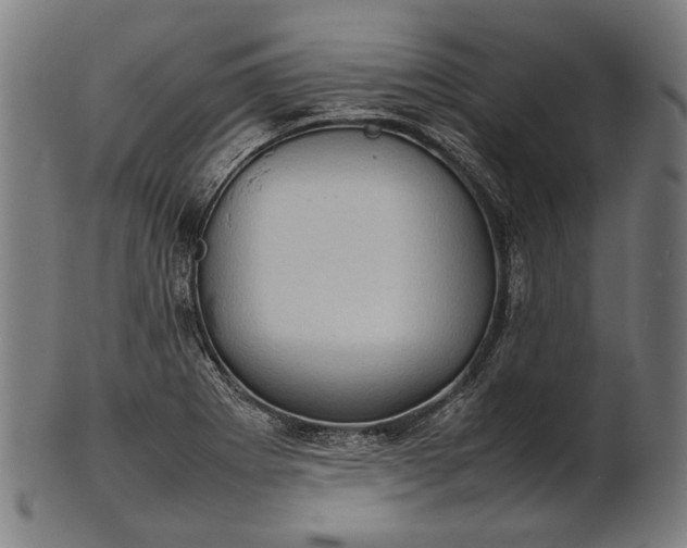 X0000101221273200807111048
