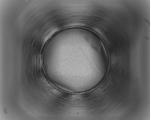 X0000101221274200807111048