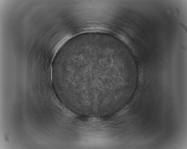 X0000101221275200807111048