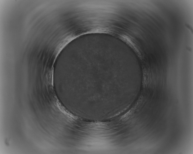 X0000101221276200807111048