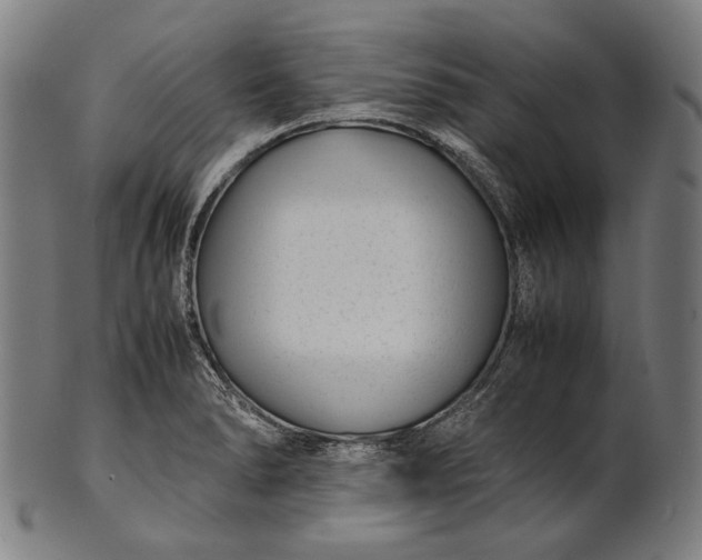 X0000101221278200807111048