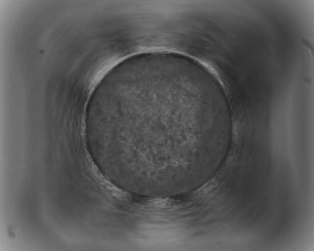 X0000101221279200807111048