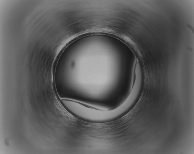 X0000101221280200807111048