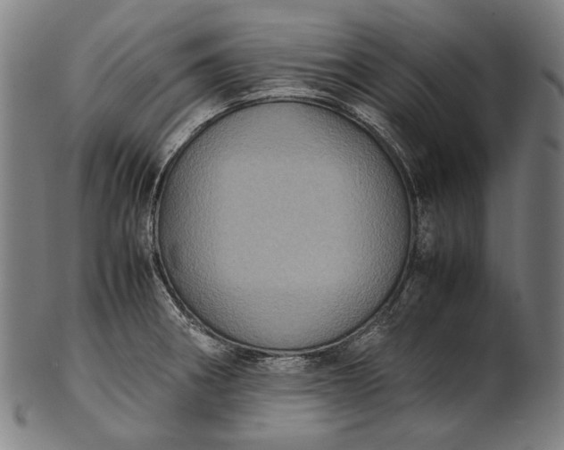 X0000101221282200807111048
