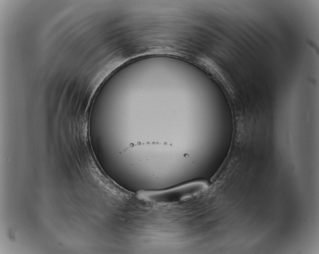 X0000101221284200807111048