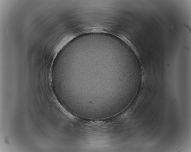 X0000101221285200807111048