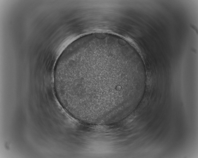 X0000101221287200807111048