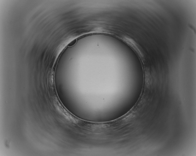 X0000101221292200807111048