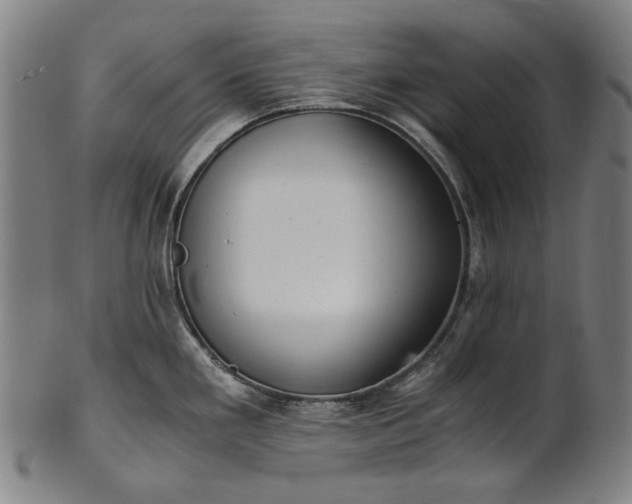 X0000101221293200807111048