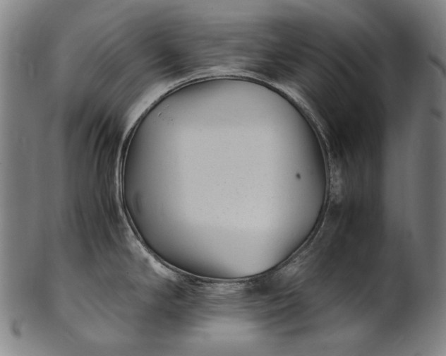X0000101221294200807111048