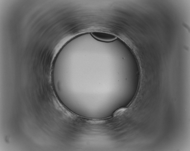 X0000101221296200807111047