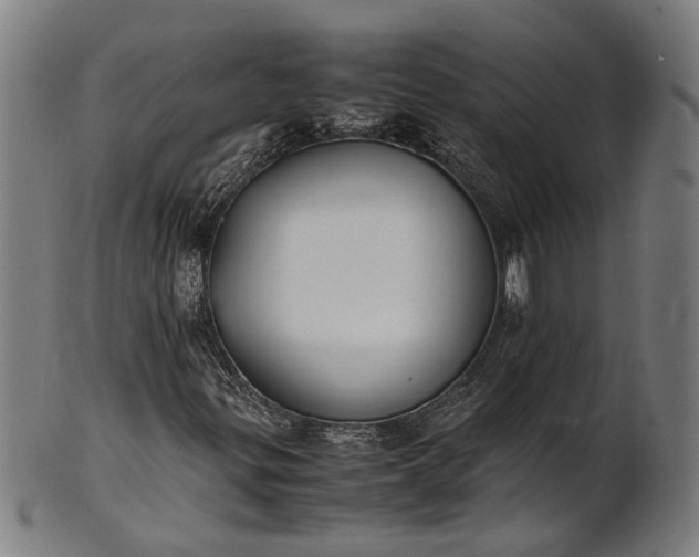 X0000101221299200807111047