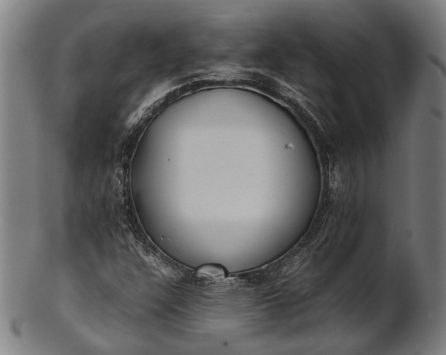 X0000101221304200807111047