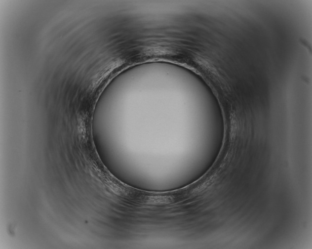 X0000101221305200807111047