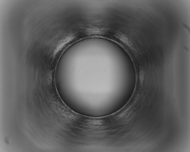 X0000101221309200807111047