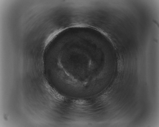X0000101221319200807111047
