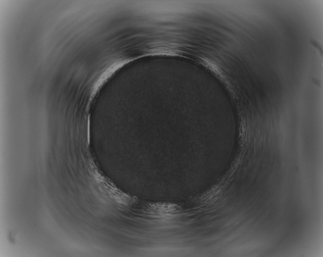 X0000101221323200807111047