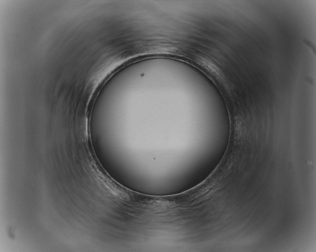 X0000101221324200807111047