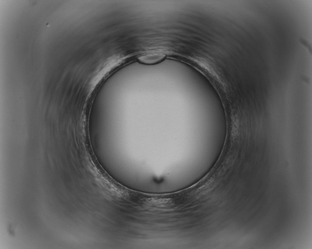 X0000101221325200807111047