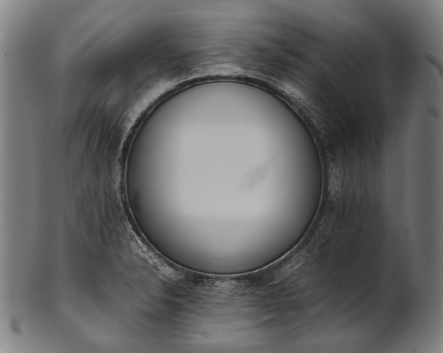 X0000101221326200807111047