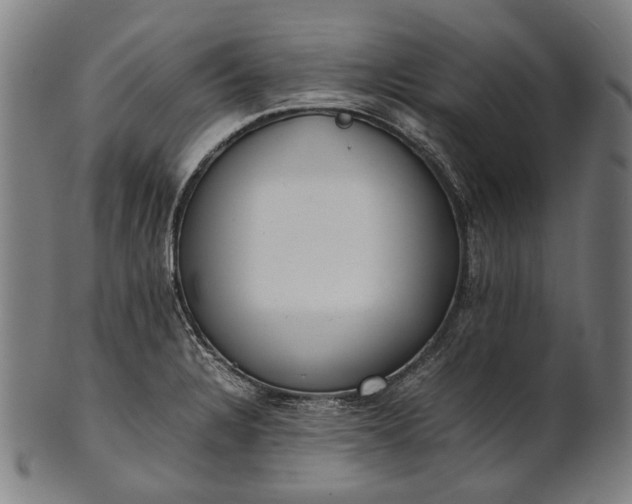 X0000101221328200807111047