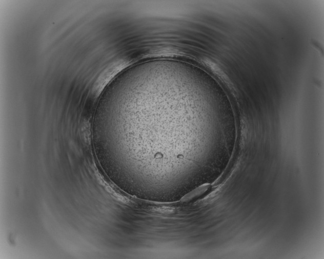 X0000101221329200807111047