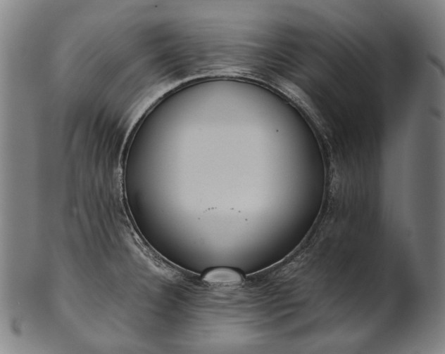 X0000101221332200807111047