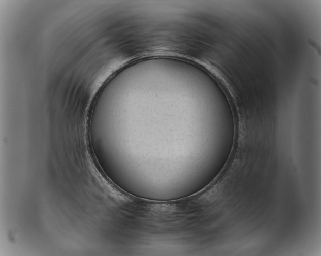 X0000101221333200807111047