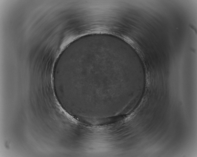 X0000101221334200807111047