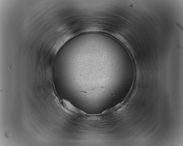 X0000101221337200807111047