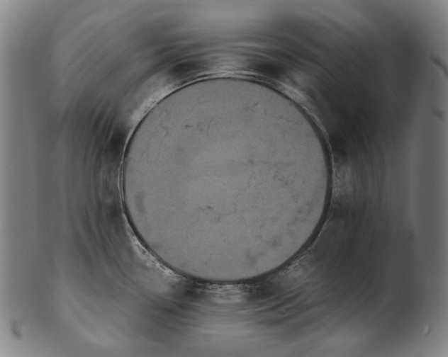 X0000101221338200807111047