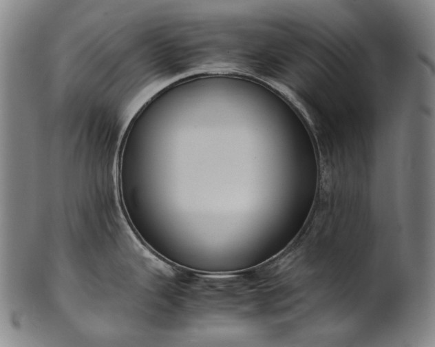 X0000101221343200807111047