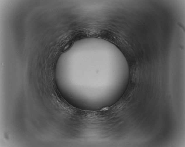 X0000101221345200807111047