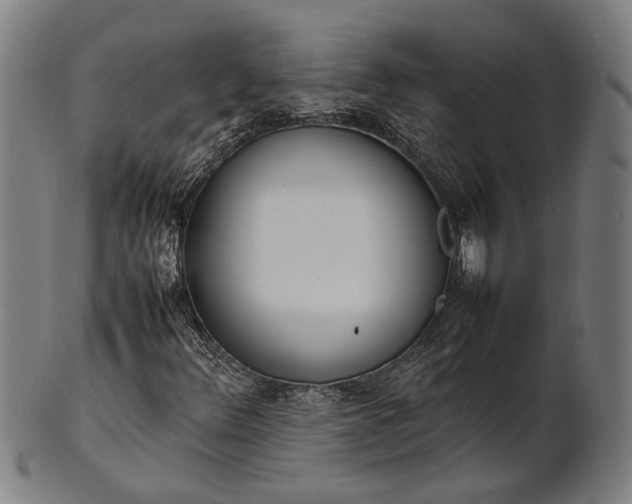 X0000101221348200807111047