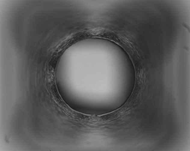 X0000101221349200807111047