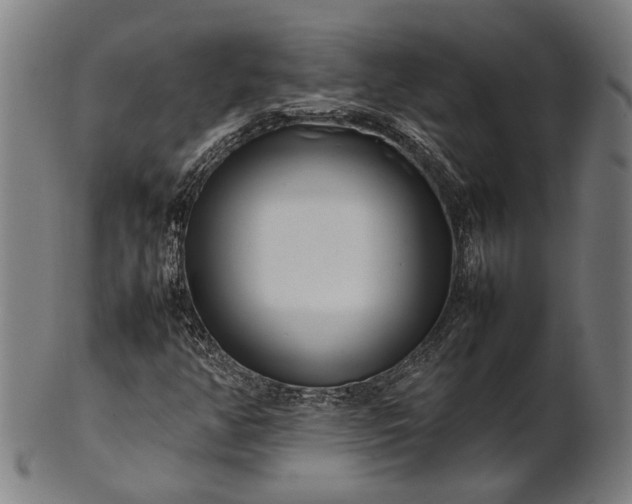 X0000101221350200807111047