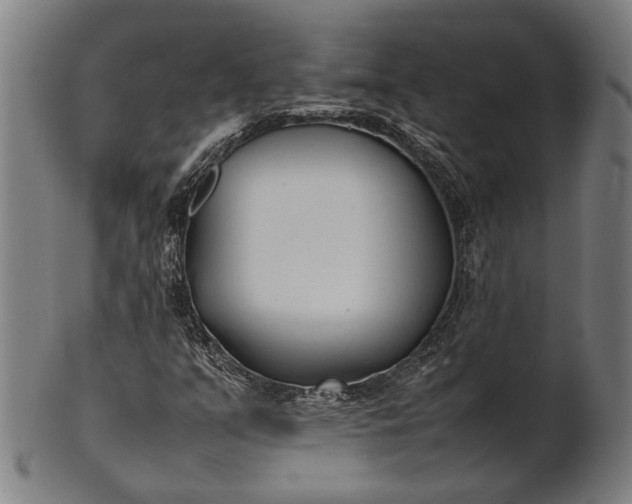 X0000101221351200807111047