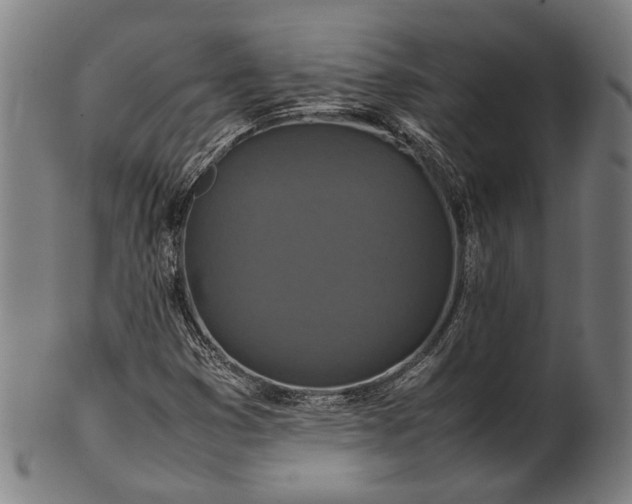 X0000101221353200807111047