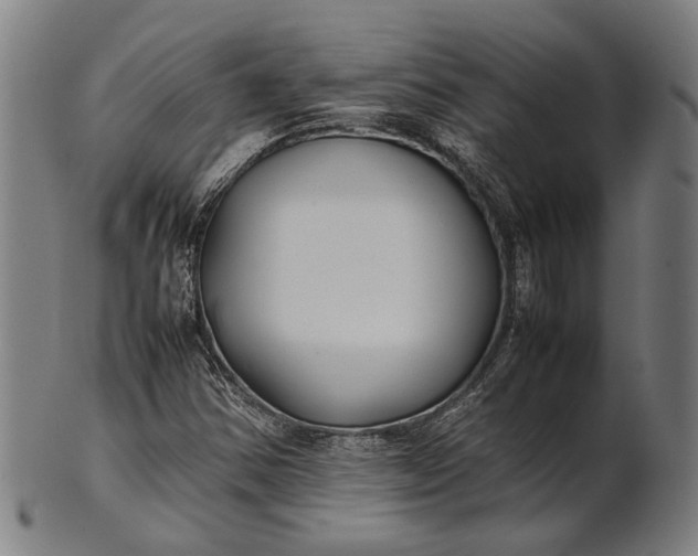 X0000101221354200807111047