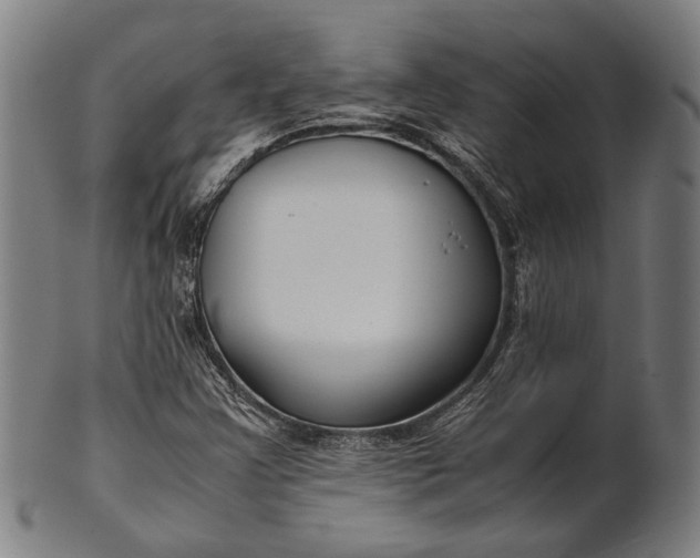 X0000101221355200807111047