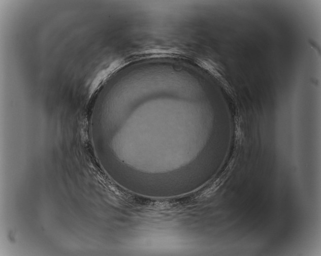 X0000101221357200807111047