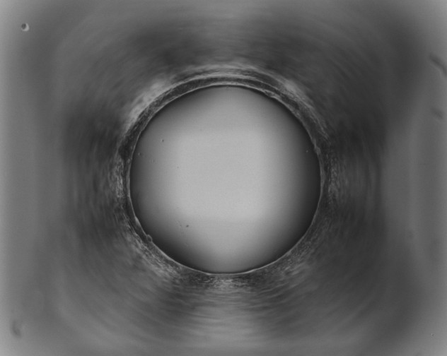 X0000101221360200807111047