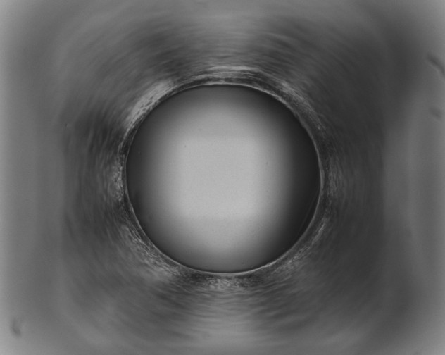 X0000101221362200807111047