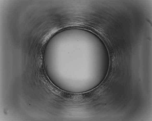 X0000101221363200807111047