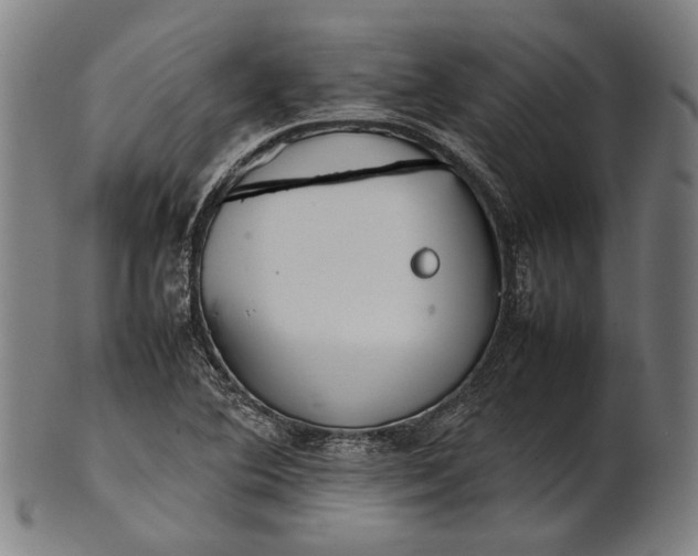 X0000101221364200807111047