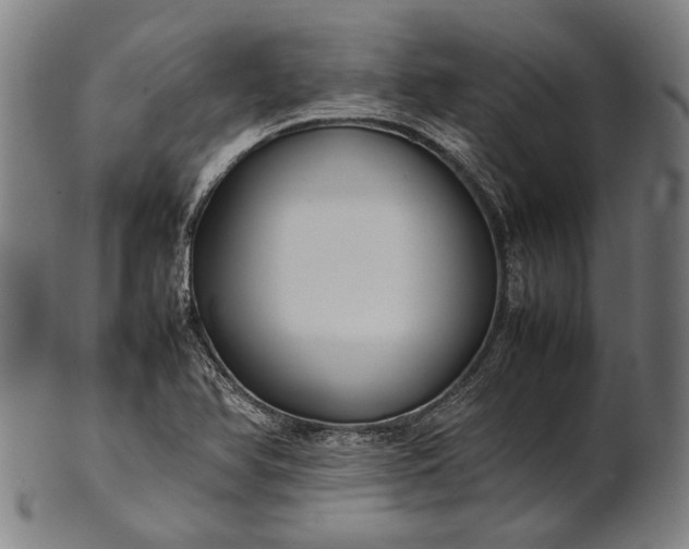 X0000101221366200807111047