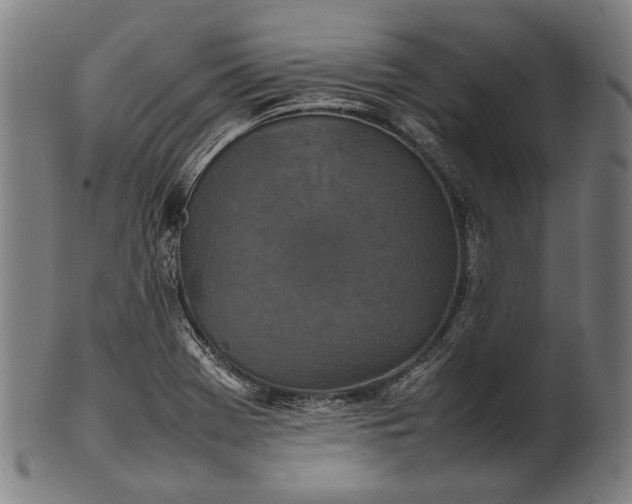 X0000101221369200807111046