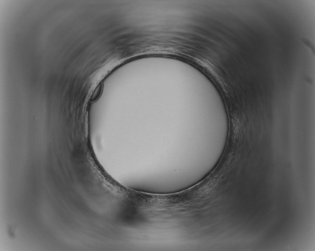 X0000101221371200807111046